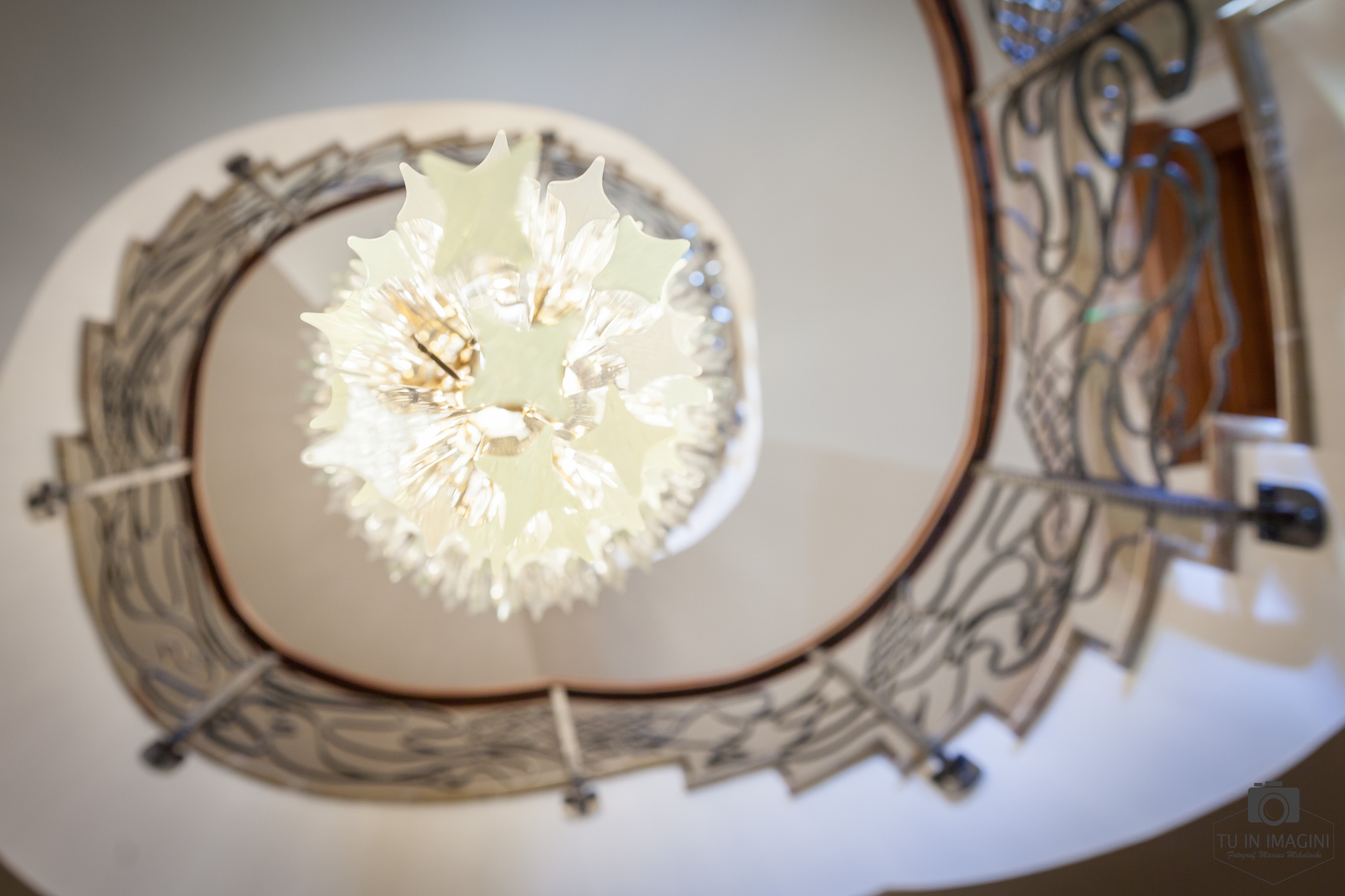 THE SHINY HEART OF SUTER PALACE